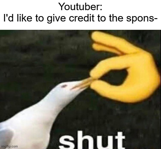 SHUT | Youtuber:
I'd like to give credit to the spons- | image tagged in shut | made w/ Imgflip meme maker