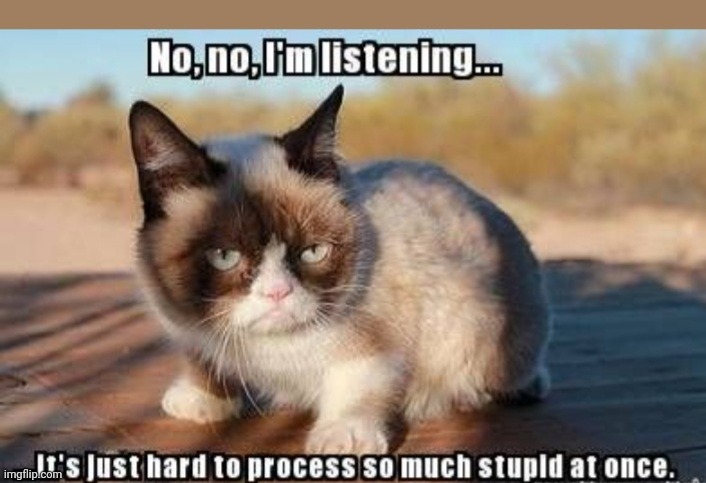 image tagged in grumpy cat,rules | made w/ Imgflip meme maker