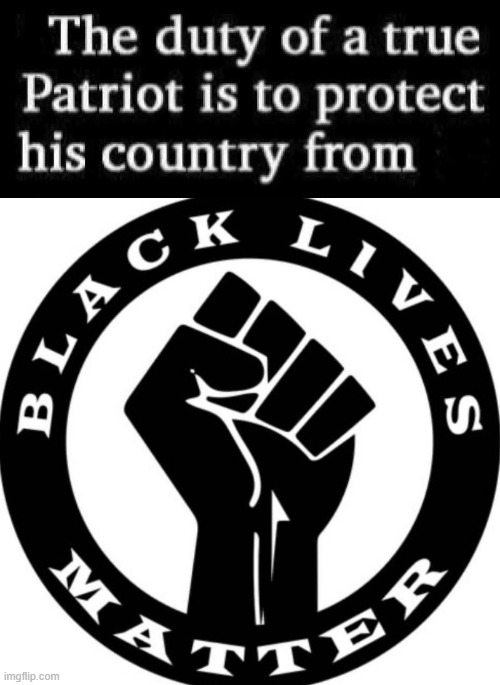 The Duty of a Patriot | image tagged in blm | made w/ Imgflip meme maker