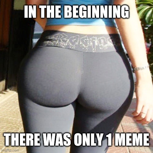 IN THE BEGINNING THERE WAS ONLY 1 MEME | image tagged in big booty | made w/ Imgflip meme maker