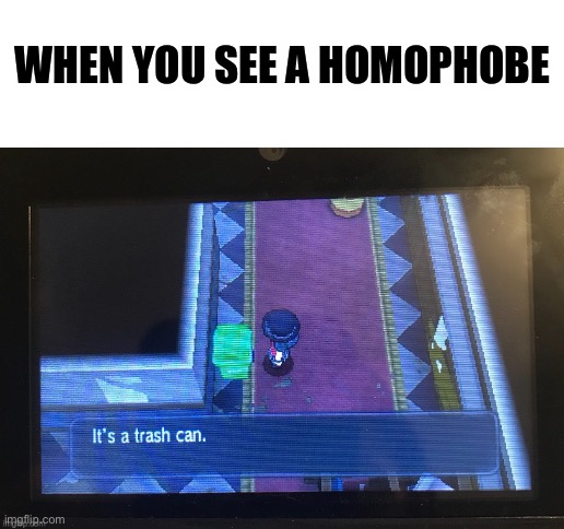 WHEN YOU SEE A HOMOPHOBE | image tagged in blank white template | made w/ Imgflip meme maker