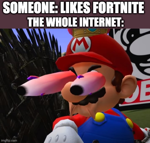 dont roast me pls :( | SOMEONE: LIKES FORTNITE; THE WHOLE INTERNET: | image tagged in staring mario | made w/ Imgflip meme maker