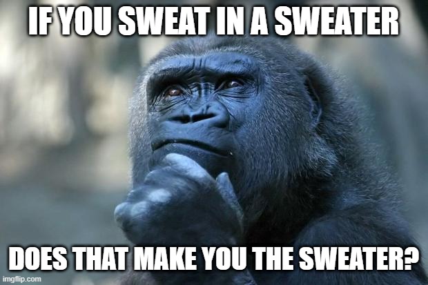 Deep Thoughts | IF YOU SWEAT IN A SWEATER; DOES THAT MAKE YOU THE SWEATER? | image tagged in deep thoughts | made w/ Imgflip meme maker