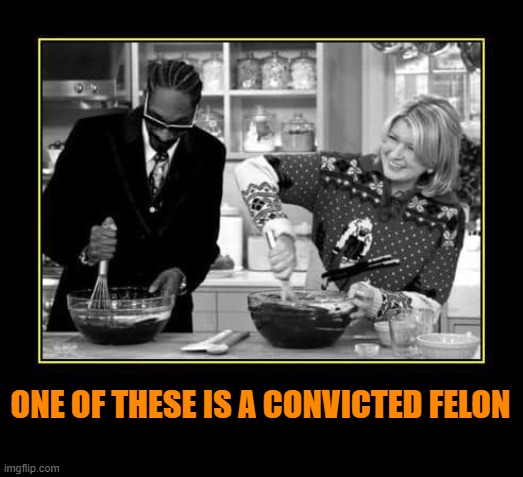 which one is which? | ONE OF THESE IS A CONVICTED FELON | image tagged in snoop dogg,felon,martha stewart | made w/ Imgflip meme maker