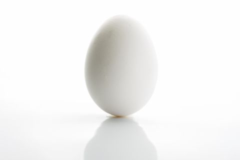 Egg Blank Meme Template