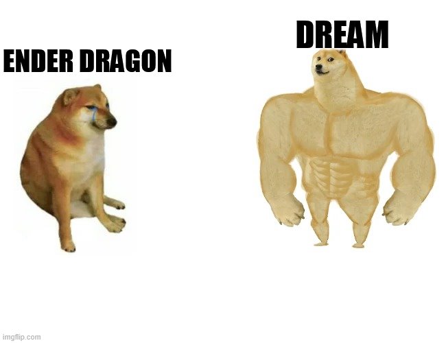 Ender dragon vs Dream | DREAM; ENDER DRAGON | image tagged in cheems vs buff doge | made w/ Imgflip meme maker