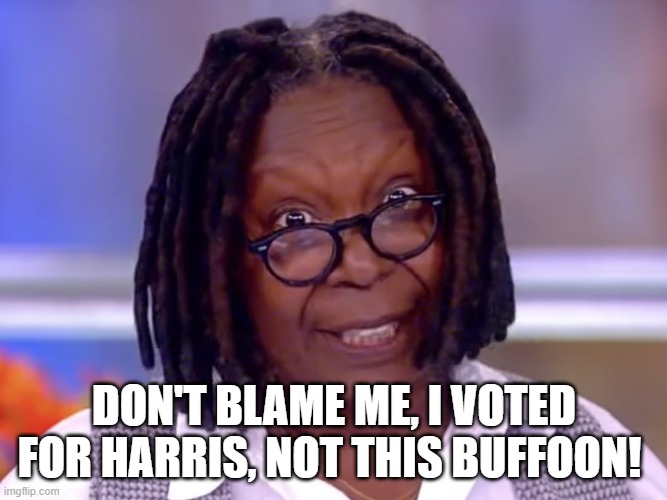 whoopi | DON'T BLAME ME, I VOTED FOR HARRIS, NOT THIS BUFFOON! | image tagged in whoopi mad,biden vote,harris vote | made w/ Imgflip meme maker