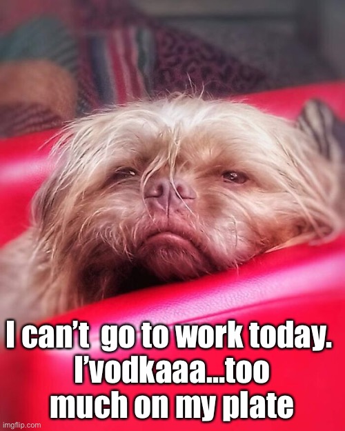 Rrippin’ It | I can’t  go to work today. 
I’vodkaaa…too much on my plate | image tagged in funny memes,ding dong | made w/ Imgflip meme maker