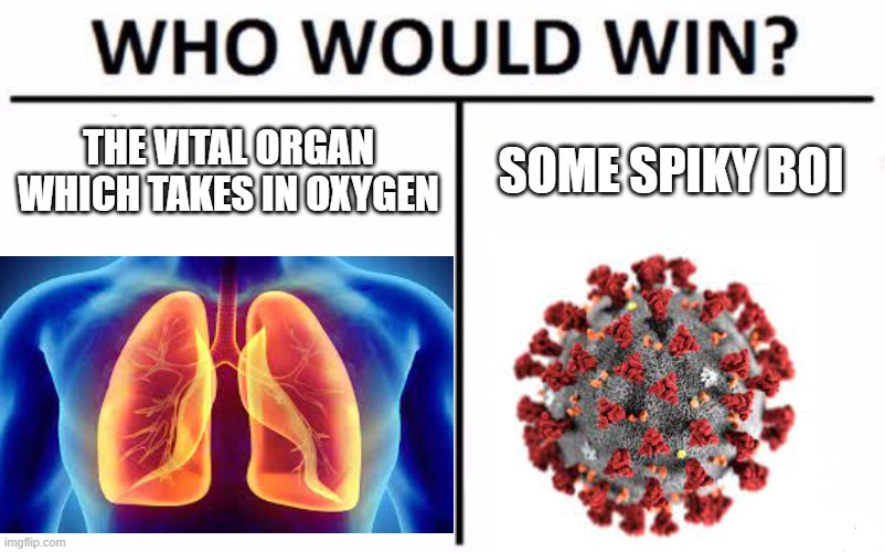 Who Would Win? | THE VITAL ORGAN WHICH TAKES IN OXYGEN; SOME SPIKY BOI | image tagged in memes,who would win,coronavirus,coronavirus meme,the human body | made w/ Imgflip meme maker