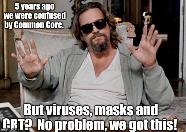 Anti-mask parents be like |  5 years ago we were confused by Common Core. But viruses, masks and CRT?  No problem, we got this! | image tagged in i got this | made w/ Imgflip meme maker