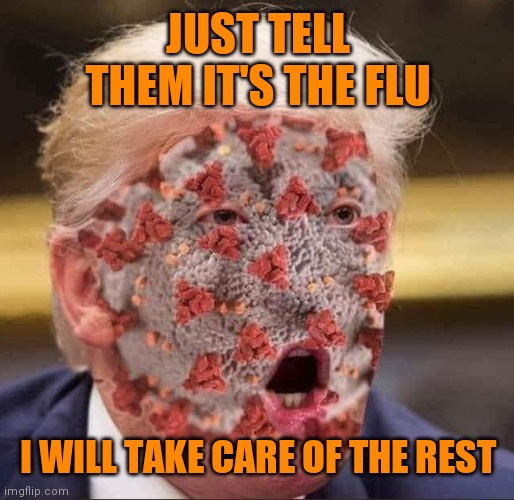 Trump's virus | JUST TELL THEM IT'S THE FLU; I WILL TAKE CARE OF THE REST | image tagged in trump's virus | made w/ Imgflip meme maker