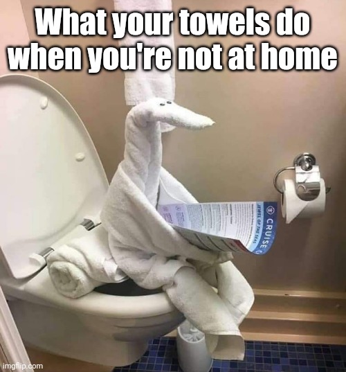Towel man on the can | What your towels do when you're not at home | image tagged in towel,person,pooping,toilet humor,cruise,humor | made w/ Imgflip meme maker