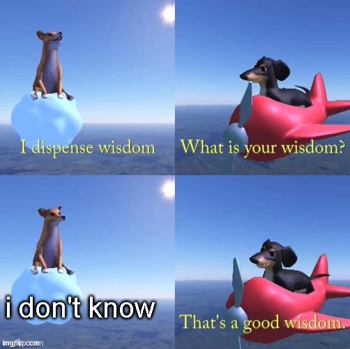 Wisdom dog | i don't know | image tagged in wisdom dog | made w/ Imgflip meme maker