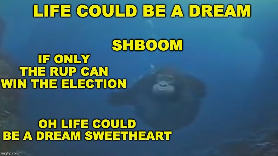 bababababababba shboom shaboom | LIFE COULD BE A DREAM; SHBOOM; IF ONLY THE RUP CAN WIN THE ELECTION; OH LIFE COULD BE A DREAM SWEETHEART | image tagged in monke,unfunny | made w/ Imgflip meme maker