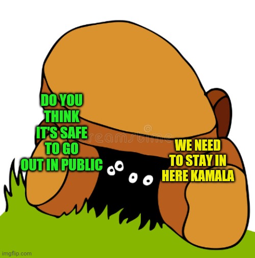 DO YOU THINK IT'S SAFE TO GO OUT IN PUBLIC; WE NEED TO STAY IN HERE KAMALA | made w/ Imgflip meme maker