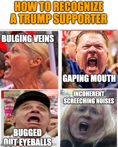 How to recognize a stroke | HOW TO RECOGNIZE A TRUMP SUPPORTER; BULGING VEINS; GAPING MOUTH; INCOHERENT SCREECHING NOISES; BUGGED OUT EYEBALLS | image tagged in how to recognize a stroke | made w/ Imgflip meme maker