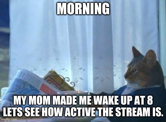 So they aren't a stranger to them, in conclusion making them not a stranger to everyone. Mod who featured this: holy shit he's r | MORNING; MY MOM MADE ME WAKE UP AT 8
LETS SEE HOW ACTIVE THE STREAM IS. | image tagged in cat newspaper | made w/ Imgflip meme maker