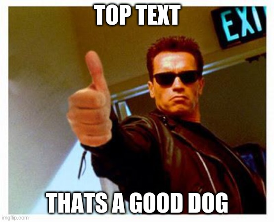 terminator thumbs up | TOP TEXT THATS A GOOD DOG | image tagged in terminator thumbs up | made w/ Imgflip meme maker