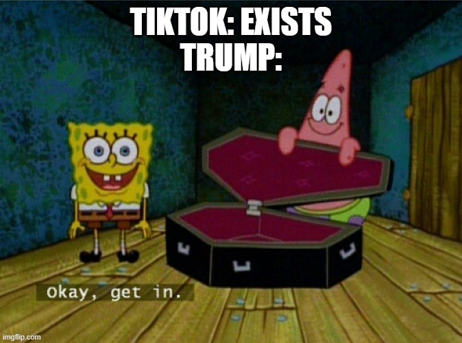Why Walmart, why on the very last day before it was banned |  TIKTOK: EXISTS
TRUMP: | image tagged in spongebob coffin,tiktok | made w/ Imgflip meme maker