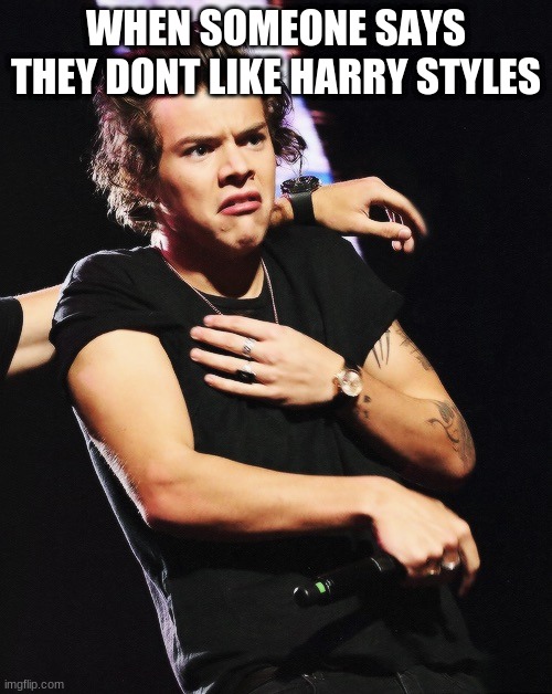 Harry Styles | WHEN SOMEONE SAYS THEY DONT LIKE HARRY STYLES | image tagged in harry styles | made w/ Imgflip meme maker
