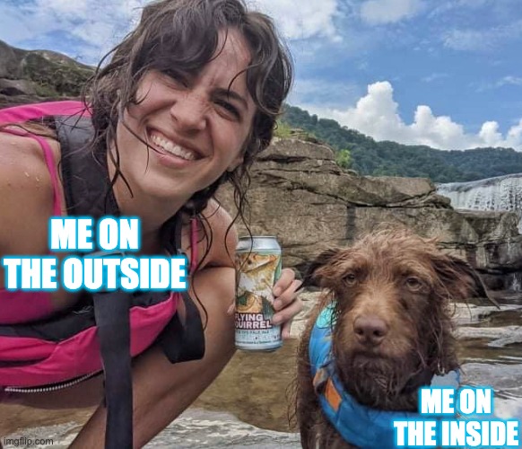 on the inside | ME ON THE OUTSIDE; ME ON THE INSIDE | image tagged in miserable dog | made w/ Imgflip meme maker