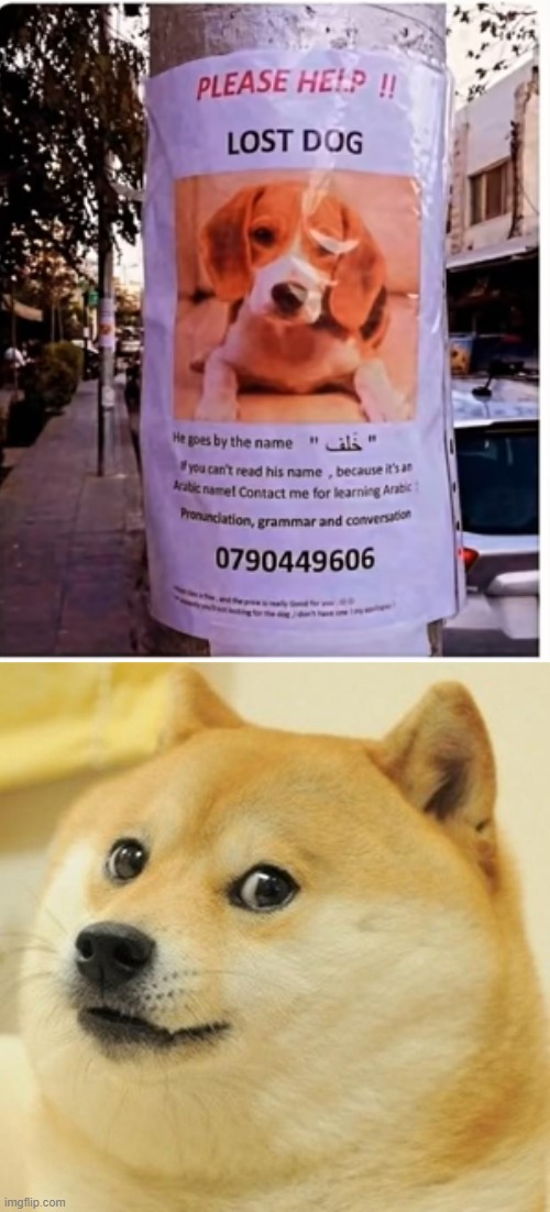 suggest me a title for this awesome meme | image tagged in memes,doge | made w/ Imgflip meme maker