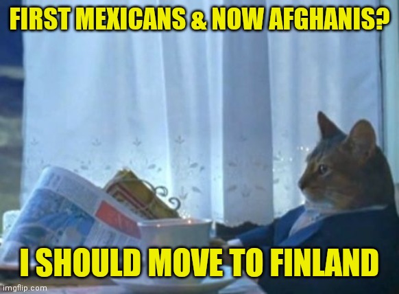 I Should Buy A Boat Cat Meme | FIRST MEXICANS & NOW AFGHANIS? I SHOULD MOVE TO FINLAND | image tagged in memes,i should buy a boat cat | made w/ Imgflip meme maker