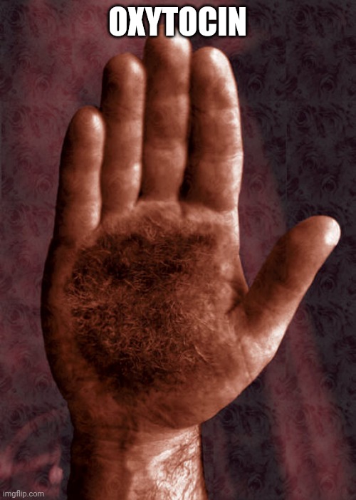 OXYTOCIN | image tagged in hairy palms | made w/ Imgflip meme maker