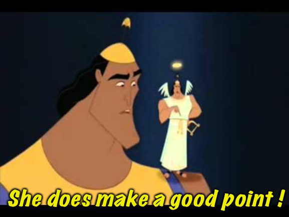 Emperor's New Groove He's Got a Point | She does make a good point ! | image tagged in emperor's new groove he's got a point | made w/ Imgflip meme maker