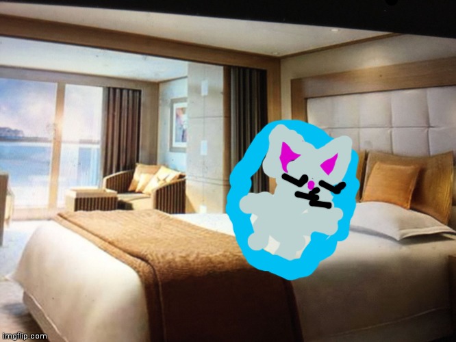 Energyff's real bed is his energy sheild made by diverting his energy to a sheild formation | image tagged in cruise ship bedroom | made w/ Imgflip meme maker