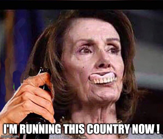 Drunk Nancy | I'M RUNNING THIS COUNTRY NOW ! | image tagged in drunk nancy | made w/ Imgflip meme maker
