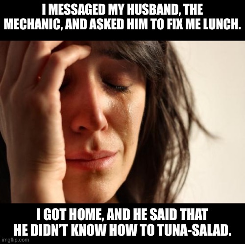 Can’t tuna-salad | I MESSAGED MY HUSBAND, THE MECHANIC, AND ASKED HIM TO FIX ME LUNCH. I GOT HOME, AND HE SAID THAT HE DIDN’T KNOW HOW TO TUNA-SALAD. | image tagged in memes,first world problems | made w/ Imgflip meme maker