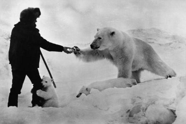 image tagged in animals,photography