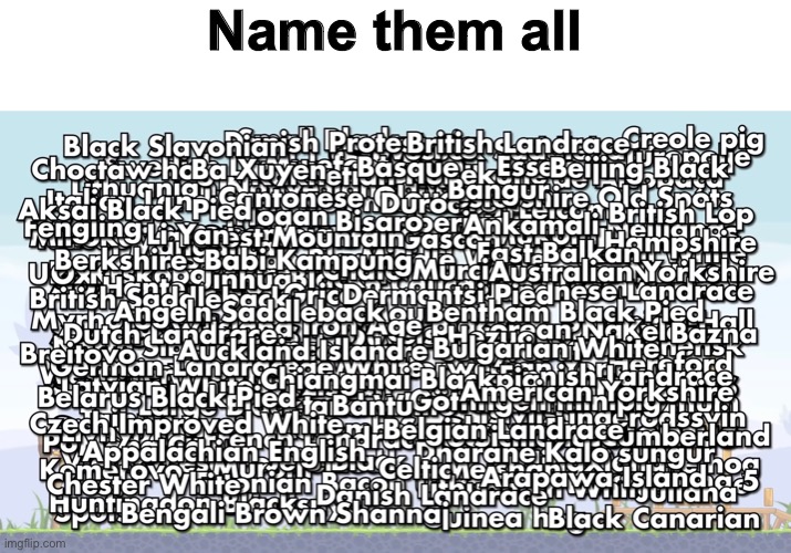 Name them all | made w/ Imgflip meme maker