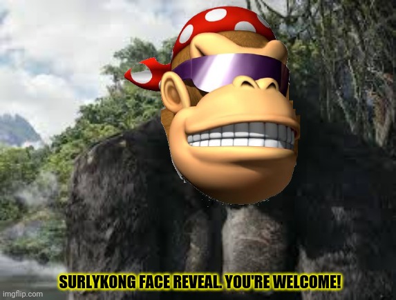 Finally face reveal time! | SURLYKONG FACE REVEAL. YOU'RE WELCOME! | image tagged in king kong,surlykong69,face reveal,but why why would you do that | made w/ Imgflip meme maker