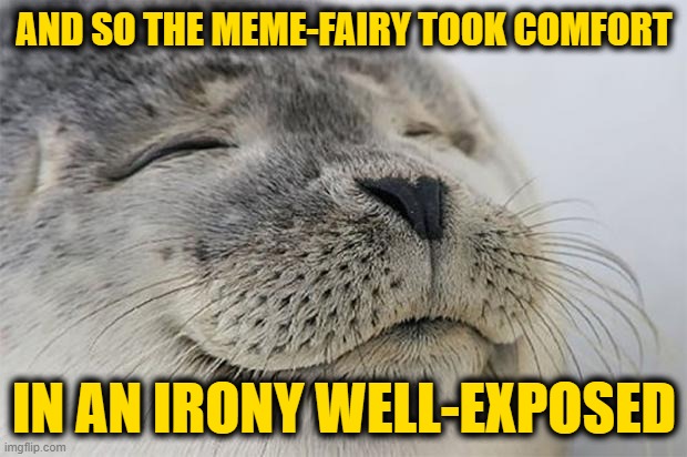 Satisfied Seal Meme | AND SO THE MEME-FAIRY TOOK COMFORT IN AN IRONY WELL-EXPOSED | image tagged in memes,satisfied seal | made w/ Imgflip meme maker