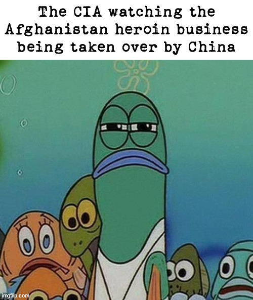 SpongeBob | The CIA watching the Afghanistan heroin business being taken over by China | image tagged in spongebob,political meme | made w/ Imgflip meme maker