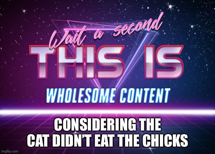 Wait a second this is wholesome content | CONSIDERING THE CAT DIDN’T EAT THE CHICKS | image tagged in wait a second this is wholesome content | made w/ Imgflip meme maker