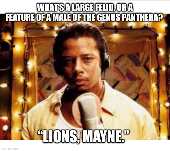 DJ the wildlife biologist | WHAT’S A LARGE FELID, OR A FEATURE OF A MALE OF THE GENUS PANTHERA? “LIONS, MAYNE.” | image tagged in dj,hustle and flow,lions | made w/ Imgflip meme maker