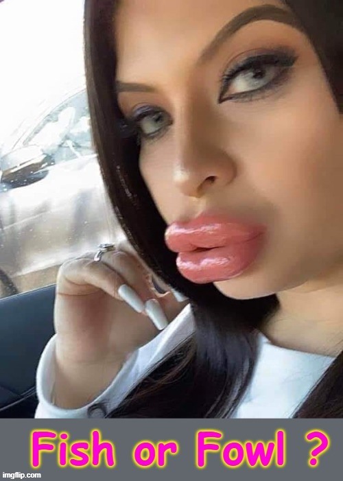 Fish or Fowl ? | image tagged in sexy lips | made w/ Imgflip meme maker