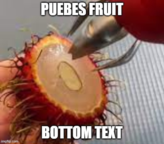 PUEBES FRUIT; BOTTOM TEXT | made w/ Imgflip meme maker