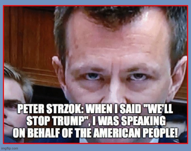 The Swamp are Lifelong Bureaucrats who will do anything to stay in power | image tagged in vince vance,peter strzok,lisa paige,bureaucrats,drain the swamp,memes | made w/ Imgflip meme maker