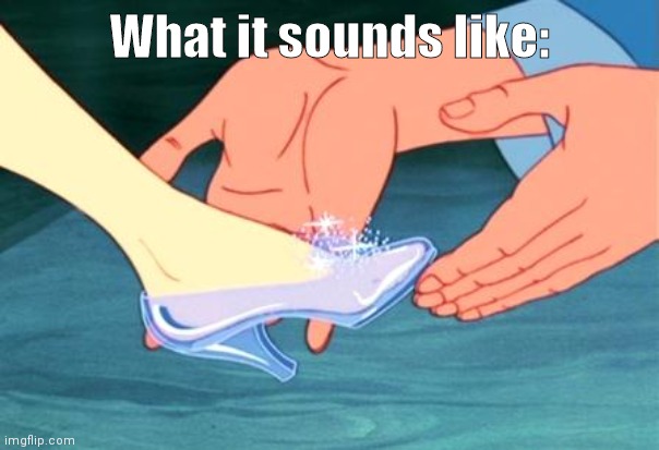 cinderella shoe fits | What it sounds like: | image tagged in cinderella shoe fits | made w/ Imgflip meme maker