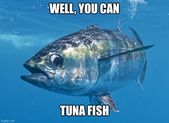 Tuna fish | WELL, YOU CAN TUNA FISH | image tagged in tuna fish | made w/ Imgflip meme maker