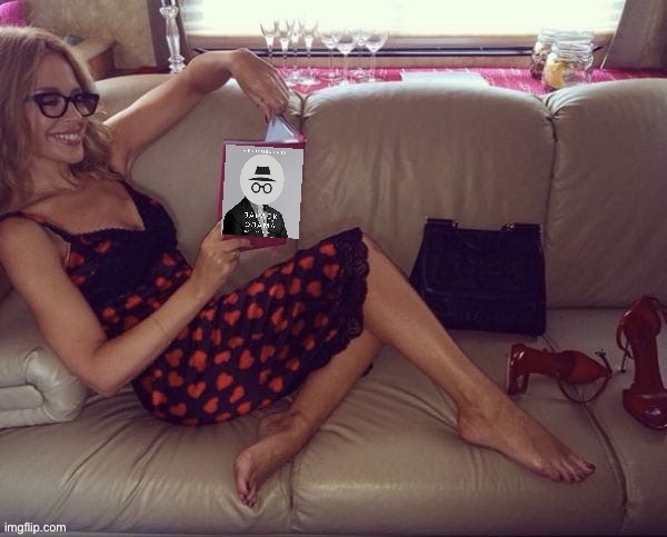Kylie IncognitoGuy book | image tagged in kylie incognitoguy book | made w/ Imgflip meme maker