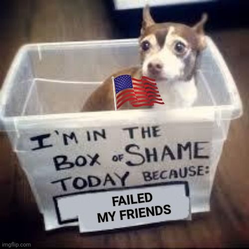Biden should resign NOW | FAILED MY FRIENDS | image tagged in box of shame dog,afghanistan,pull out,joe biden,resignation,political meme | made w/ Imgflip meme maker