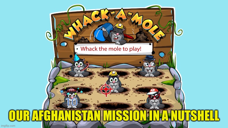 All there was to it | OUR AFGHANISTAN MISSION IN A NUTSHELL | image tagged in whack a mole | made w/ Imgflip meme maker