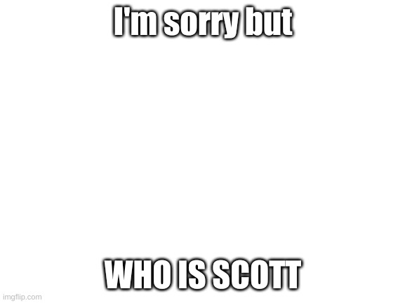 WHO | I'm sorry but; WHO IS SCOTT | image tagged in blank white template,fnaf | made w/ Imgflip meme maker