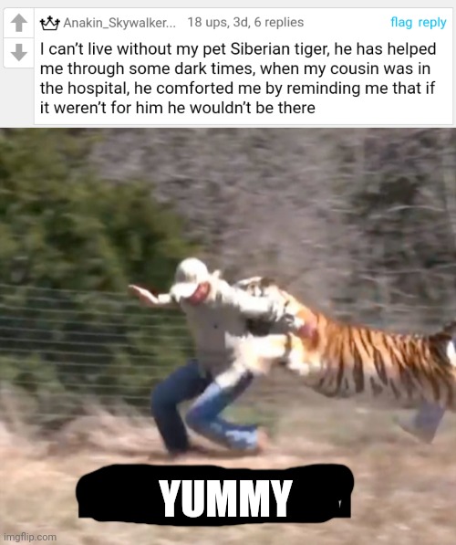 tastes like chicken, I can confirm | YUMMY | image tagged in joe exotic,tiger,cursed,cursed comment | made w/ Imgflip meme maker