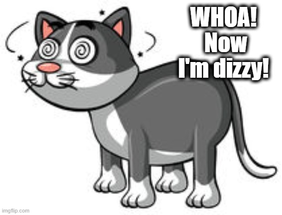 WHOA!  Now I'm dizzy! | made w/ Imgflip meme maker